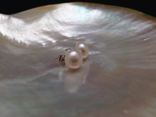 Load image into Gallery viewer, Genuine Pearl Earring, AAA Pearl Stud, 10mm Pearl Stud Earrings, Large Pearl Studs, White Pearl Earrings, Elegant Studs
