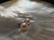 Load image into Gallery viewer, Genuine Pearl Earring, AAA Pearl Stud, 10mm Pearl Stud Earrings, Large Pearl Studs, White Pearl Earrings, Elegant Studs
