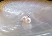 Load image into Gallery viewer, 8mm Genuine AAA Pearl Earrings,Genuine Pearl Studs, Genuine Pearl Earrings, Genuine Pearl Stud Earrings, Freshwater Pearl Studs, 925 Silver
